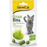 Gimborn Gimcat Gras Bits tabletky s kočičí trávou 40 g – Zbozi.Blesk.cz
