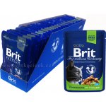 Brit Premium Cat kapsička Chicken Slices for Sterilised SET 24x 100 g