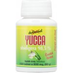 Hemann Yucca shidigera 98,5% 120 tablet – Hledejceny.cz