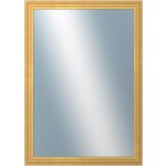 DANTIK LYON 50x70 cm zlatá 2703 – Hledejceny.cz