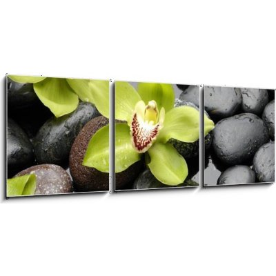 Obraz 3D třídílný - 150 x 50 cm - therapy stones and orchid flower with water drops léčivé kameny a orchidejové květiny s vodními kapkami – Zboží Mobilmania