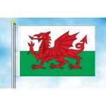 LIBEA, s.r.o. Vlajka Walesu Rozměr: 60×90 cm, Uchycení: Karabiny na stožár – Hledejceny.cz