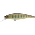 Illex Squad Minnow SP 6,5cm Muddy Secret Tiger – Hledejceny.cz