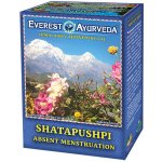 Everest Ayurveda Shatapushpi 100 g – Hledejceny.cz