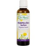 Dr. Popov Tinktura Pampeliška kořen 50 ml – Hledejceny.cz
