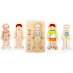 Small Foot Puzzle Anatomie Tim – Zbozi.Blesk.cz