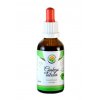 Doplněk stravy Salvia Paradise Ginkgo biloba tinktura bez alkoholu 50 ml