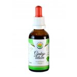 Salvia Paradise Ginkgo biloba tinktura bez alkoholu 50 ml – Zbozi.Blesk.cz