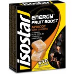 ISOSTAR HIGH ENERGY FRUIT BOOST 10 x 10 g – Sleviste.cz