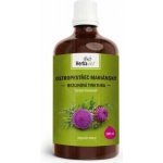 Herbavis Ostropestřec tinktura 100 ml – Hledejceny.cz