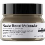 L´Oréal Professionnel Maska pro poškozené vlasy Absolute Repair Molecular Professional Mask 250 ml – Hledejceny.cz