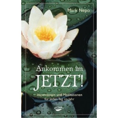 Ankommen im Jetzt! – Sleviste.cz