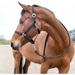 HORZE Vodítko Basic dark modrá – Zboží Dáma