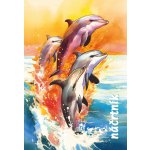 Slunap Náčrtníky náčrtník A5 40 listů – Zboží Mobilmania