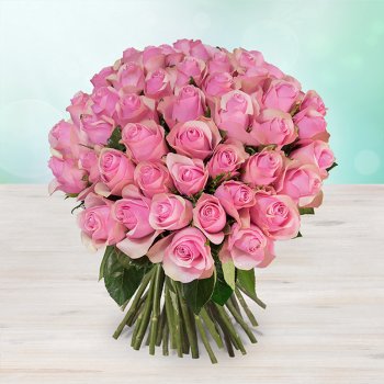 Rozvoz květin: Růžové (světle) čerstvé růže - 50cm - cena za 1ks - Černošice