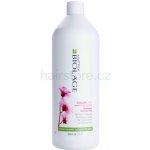 Matrix Biolage ColorLast Shampoo 1000 ml – Zbozi.Blesk.cz