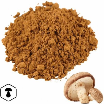 LifeChi Shiitake Lentinula edodes extrakt v prášku 50 g – Hledejceny.cz