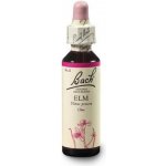 Bachovy květové esence Jilm Elm 20 ml – Hledejceny.cz