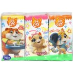 44 Cats papírové kapesníčky s potiskem 4-vrstvé 6 ks – Sleviste.cz