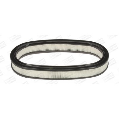 CHAMPION Vzduchový filtr CAF100225R – Hledejceny.cz