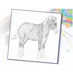 Radost v písku Šablona na pískování zebra 21 x 21 cm – Zbozi.Blesk.cz