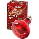 Hobby Infraredlight Eco 70 W – Zboží Mobilmania