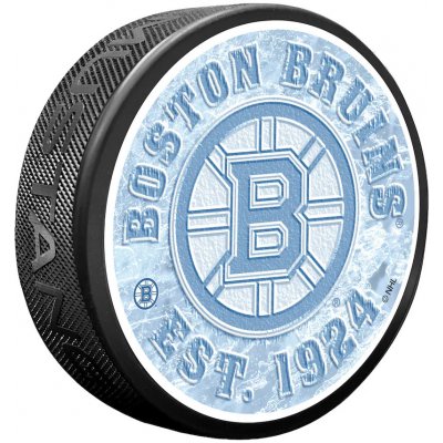 Mustang Puk Boston Bruins Frozen Logo Puck – Zbozi.Blesk.cz