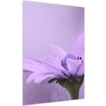Obraz - Fialová květina, jednodílný 50x70 cm – Hledejceny.cz