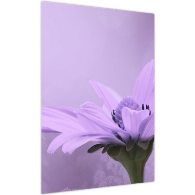 Obraz - Fialová květina, jednodílný 50x70 cm – Hledejceny.cz