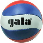 GALA Reklamní míček Pro Line 10 – Hledejceny.cz