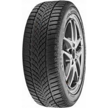 Voyager Winter 205/55 R16 91T
