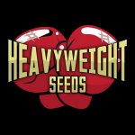 Heavyweight Seeds 2 Fast & 2 Vast AUTO semena neobsahují THC 10 ks – Hledejceny.cz