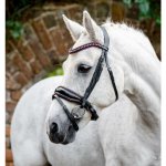HORSEWARE Diamante se švédským nánosníkem černá / růžová – Zboží Dáma