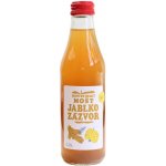 Moštárna Hostětín Hostětínský mošt jablko zázvor bio 250 ml – Zboží Dáma