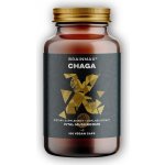BrainMax Chaga extrakt 500 mg 100 rostlinných kapslí – Hledejceny.cz