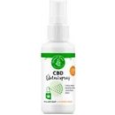 Zelená země CBD ústní sprej s 250 mg CBD a koloidním stříbrem 50 ml