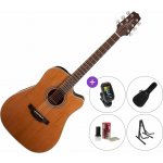Takamine GD20CE Natural Satin – Sleviste.cz