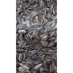 Fauna Hradil Slunečnice velká žíhaná 10 kg – Zboží Dáma