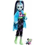Mattel Monster High Creepover Party Frankie Stein Doll – Zboží Mobilmania