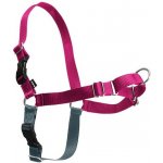 PetSafe Postroj Easy Walk Harness – Hledejceny.cz