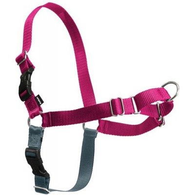 PetSafe Postroj Easy Walk Harness – Hledejceny.cz