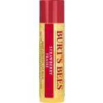 Burt's Bees Strawberry Lip Balm 4,25 g – Zboží Dáma