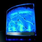 Mravenčí akvárium s podsvícením Ant Quarium Blue – HobbyKompas.cz