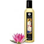 Shunga Erotic Massage Oil Sweet Lotus 250ml – Zbozi.Blesk.cz