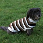 Trixie Svetr Hamilton – Zboží Dáma