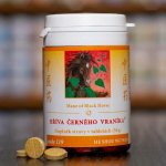 TCM Herbs Hříva černého vraníka 100 tablet – Hledejceny.cz
