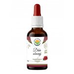 Salvia Paradise Dřín obecný AF tinktura 50 ml – Hledejceny.cz
