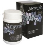 Chytrá houba Biomycosin přípravek s antimykotickou přísadou 10 g – Sleviste.cz