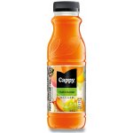 Cappy Džus multivitamin 52% 12 x 330 ml – Zboží Dáma