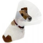 Kruuse Buster Clic Collar Plastový ochranný límec 40 cm – Zboží Mobilmania